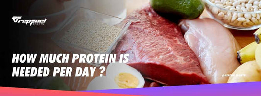 how much protein in needed per day