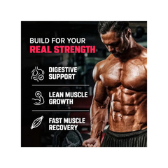 Repfuel Sports All Day Whey